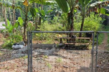 Tanah Jagakarsa Tepi Jalan Raya SHM Siap Balik Nama