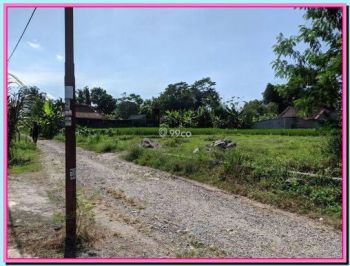 Tanah SHM Jogjakarta Dekat Kampus UII