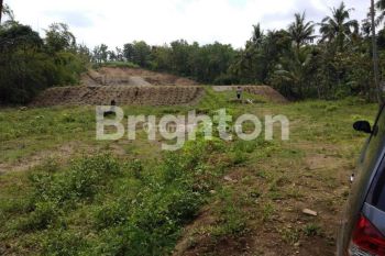 TANAH PEKARANGAN COCOK UNTUK PETERNAKAN, WAHANA WISATA DI WONOSEGORO BOYOLALI