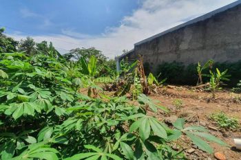 Tanah di Mulawarman Tembalang Dekat Kampus Undip