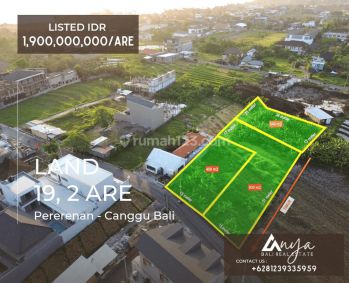Dijual 3 Plot Bidang Tanah Hak Milik Luas Total 19,2 Are Pinggir Jalan Utama di