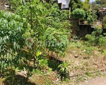 Tanah Murah 1 Jt an Bojong Koneng shm, Dekat Taman Budaya Sentul