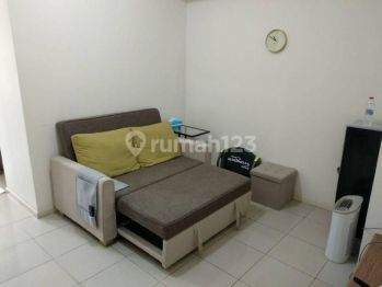 Sewa Apartemen Cosmo Terrace 1 Bedroom Lantai Sedang
