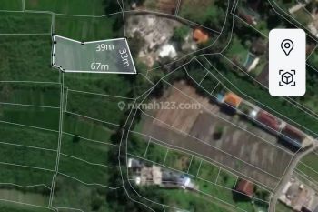 F R E E H O L D For Sale Or Lease Plot Of Land 18 Acre Located At Munggu