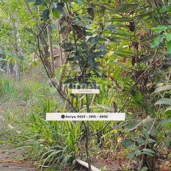 Dijual Tanah Jogja Siap Ajb Dekat Wisata Kaliurang Tanpa Ribet