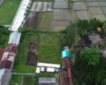 thumbnail-for-sale-leasehold-land-very-rare-with-ricefield-view-and-near-four-season-ubud-2