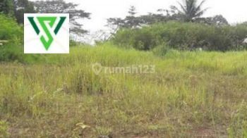 Tanah murah 26,08jt/m Ronggolawe Bintoro Musi imam Bonjol