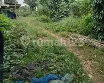 Tanah Kebun Cocok Untuk Gudang Atau Sekolah Di Babat Legok