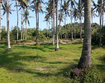 Hot List Di Jual Tanah Loss Pantai View Laut Lokasi Pengragoan Pekutatan