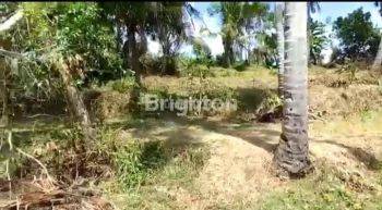 Tanah seluas 31,50 are berlokasi dekat dengan pantai desa Yeh Sumbul Kecamatan