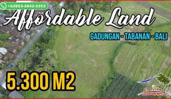Luas 5,300 m2 Akses Jalan Subak area Selemadeg Timur
