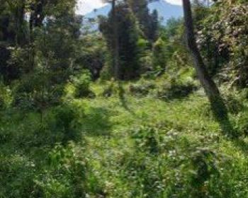 Tanah untuk berkebun+investasi+villa sangat strategis view lepas