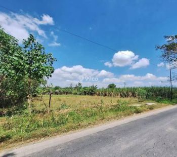 Jual Tanah Letak Strategis Mangku Jalan Aspal SHM, Standart Perumahan