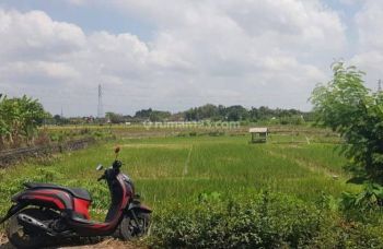 Jual Tanah Luas 1849m SHM Sawah di Banguntapan Bantul Yogyakarta