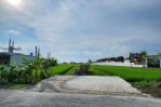 thumbnail-prime-road-side-land-for-rent-in-mengening-beach-cemagi-2