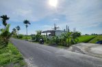 thumbnail-prime-road-side-land-for-rent-in-mengening-beach-cemagi-4