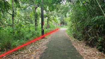 Lokasi dekat The Samaya Ubud, tepi Sungai Ayung