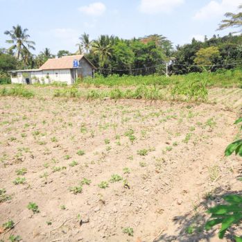 Jual Tanah Jogja Dekat Puskesmas Ngemplak Hanya 1 Jutaan Cocok Untuk Hunian