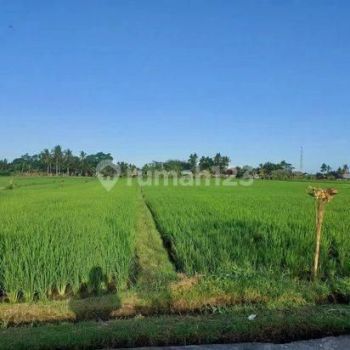 Jual Tanah Di Kawasan Pantai Kedunggu Tabanan