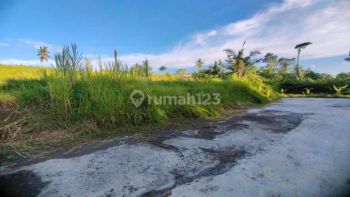 Dijual lahan asri dan nyaman di Ubud view Jungle dan sawah
