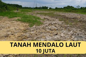 Jual Murah Tanah Mndalo Laut
