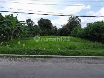 Tanah Jogja di Jl Janti Dekat Amplaz Mall, Tepi Aspal Shmp