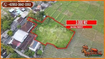 Potensial Tanah Kebun 30.0 Are View Sawah Dan Gunung