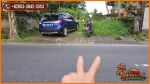 thumbnail-potensial-tanah-kebun-300-are-view-sawah-dan-gunung-4