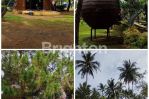 thumbnail-tanah-tempat-wisata-alam-fresh-green-negodeal-3