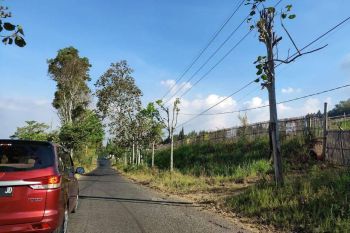 TANAH LUAS PINGGIR JALAN HARGA ISTIMEWA DI KOTA BATU.