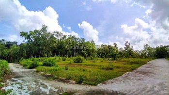 Peruntukan Hunian Dekat Polres Kulon Progo, Shm Ready