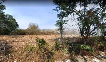 Tanah Industri di Pandanlandung Bandulan