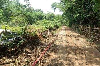 Tanah kosong Pajerukan Kalibagor Banyumas