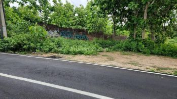 Tanah Bagus SHM Pinggir Jalan Utama Hanya 1.7Km Ke Pantai Balangan