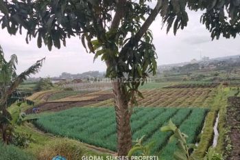 Tanah Luas Strategis di Belakang Lippo Plaza Batu