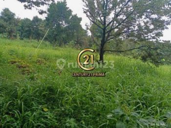 Kavling Luas Cocok Untuk Perumahan Nempel Bintaro Sektor 9