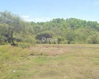 Dikontrakan Tanah  Di Lokasi Jalan Pandawa. Kutuh Kuta Selatan Badung Bali.