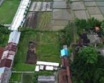 thumbnail-ricefield-view-land-unblock-at-sayan-ubud-5