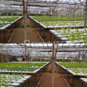 Tanah cisarua bandung barat