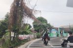 thumbnail-kavling-siap-bangun-di-jl-raya-tegal-rotan-ciputat-tangerang-selatan-1