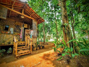 Tanah di Ciseeng 3256 m²