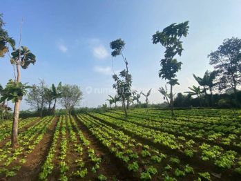 Tanah Siap Pakai Parongpomg