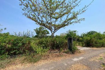 TANAH LOS PANTAI BULELENG SUPER KEREN HARGA MURAH