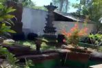 thumbnail-jual-villa-di-daerah-bali-9