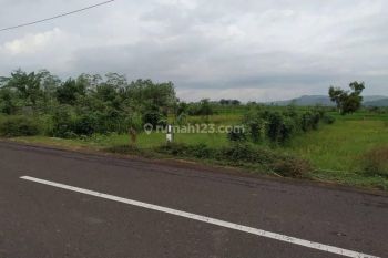 Tanah di Pinggir Jalan Aspal Kuripan Lombok Barat