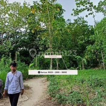 Jual Tanah Jogja 1jutaan Dekat Griya Tamansari Aman