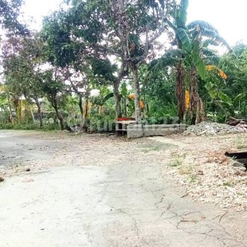 Tanah Murah Bantul, 1 Jutaan m2 Timur Kids Fans