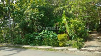 Tanah Luas Lokasinstrategis Di Gombong Kebumen