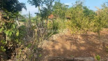 Nunggalan Pecatu Land area for Lease