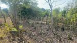 thumbnail-nunggalan-pecatu-land-area-for-lease-2